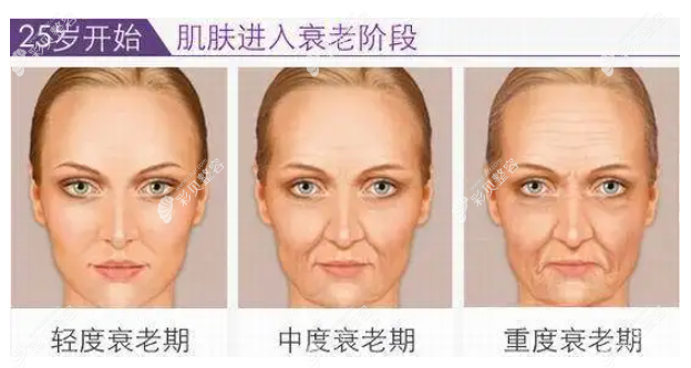 皮肤衰老进程