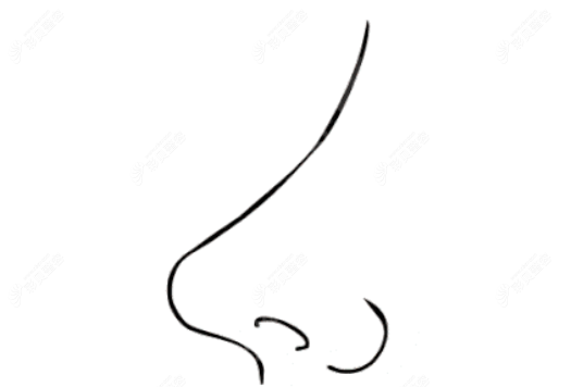 张书明院长做小翘鼻 张书明院长做小翘鼻