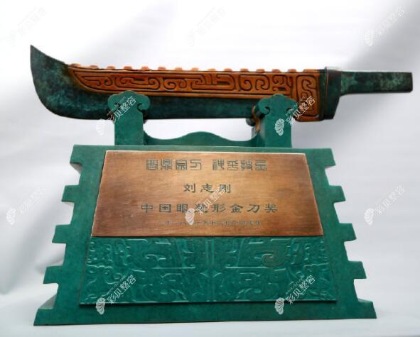 刘志刚院长荣获金刀奖